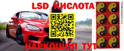 шишки Кимры