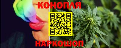 шишки Кимры