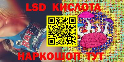 стаф Кинель