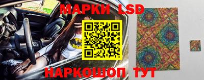 шишки Кимры
