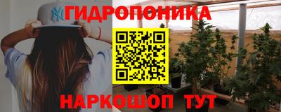 стаф Кинель