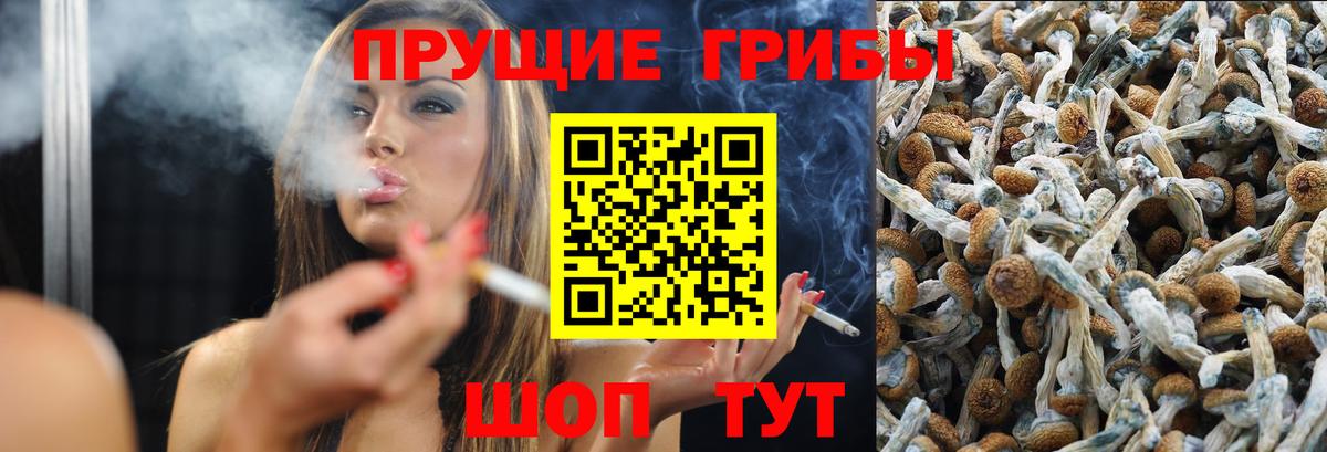 Псилоцибиновые грибы GOLDEN TEACHER  Вход с VPN  Ишим  Галлюциногенные грибы Psilocybe 